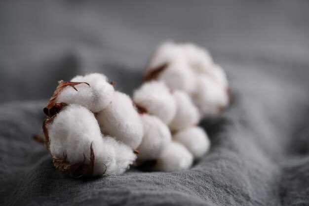 El algodón como símbolo de protección y seguridad
