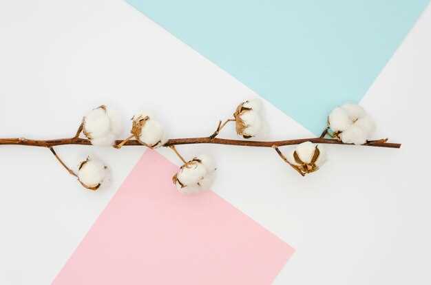 El algodón y su relación con la delicadeza y la sensibilidad