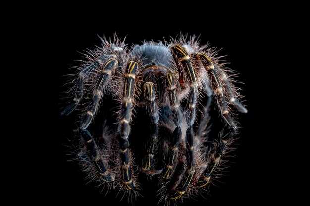 3. Representación de una figura femenina o maternal