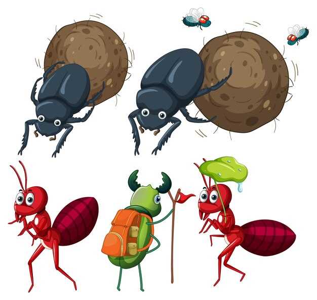 Bugs Crawling On Wall: ¿Qué Significa?, Interpretación y Simbolismo