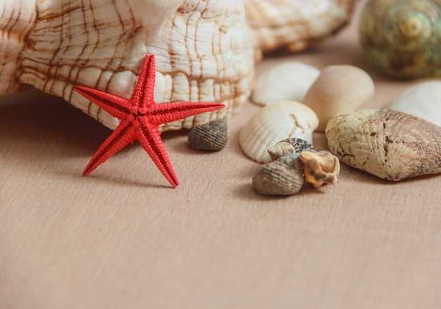 La búsqueda de significado y autoconocimiento