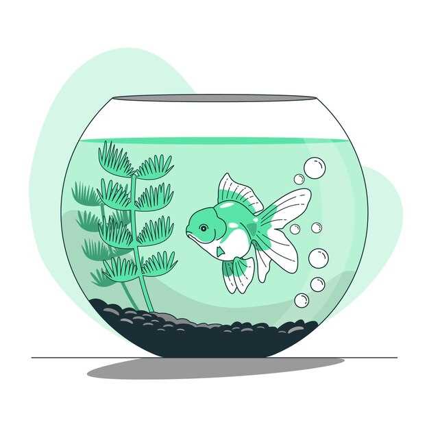 El significado de soñar con peces que nadan libremente en una pecera