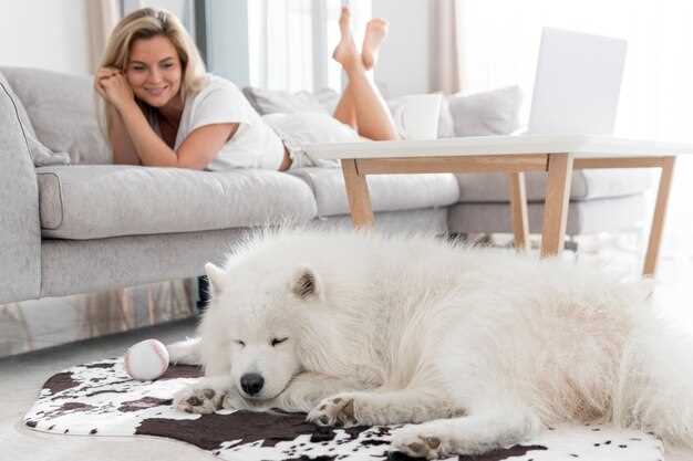 El mensaje emocional detrás de los sueños con un perro blanco