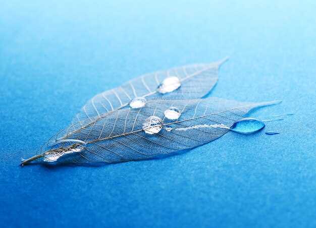 Plumas flotando en el aire y su significado en los sueños