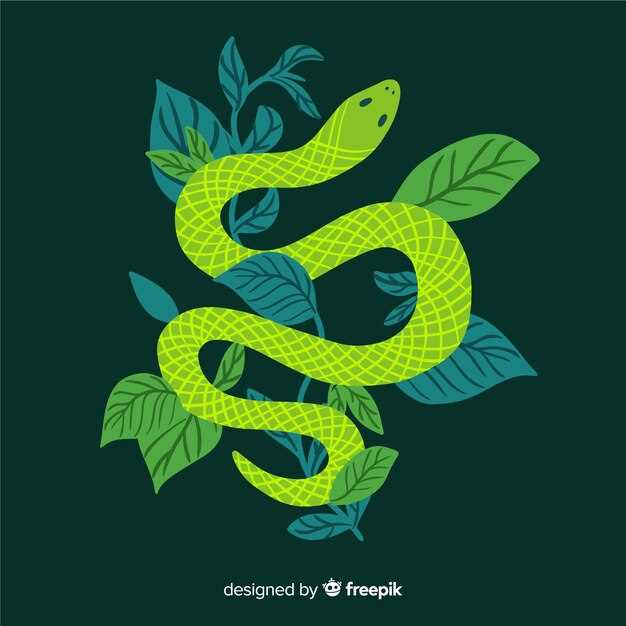 Consulta a un experto