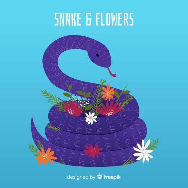 Interpretación adicional