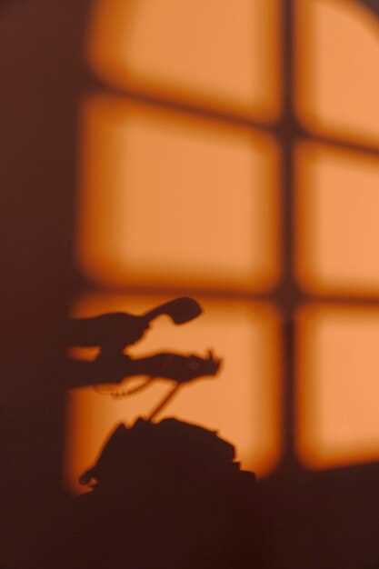 Temores y ansiedades