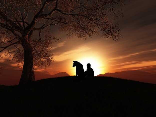 Buscando sentido y propósito