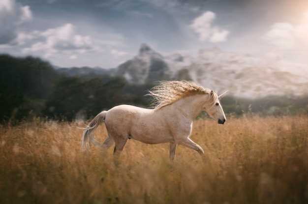 El significado de los sueños con caballo áspero