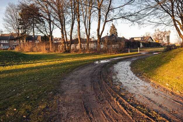 Significado psicológico de soñar con Calle Muddy