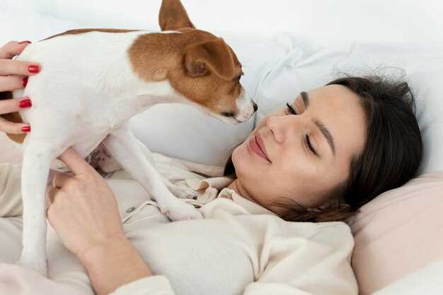 Coger un perro de una protectora en sueños