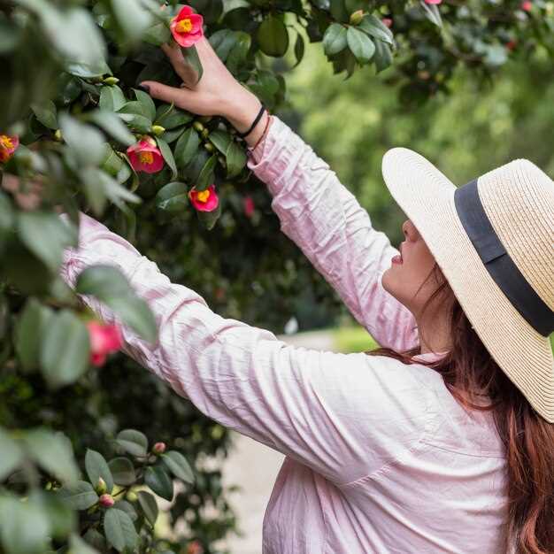 El significado de los sueños con cerezas