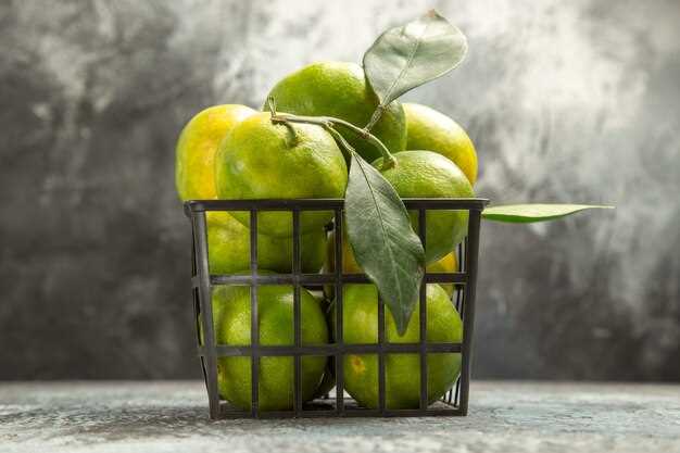 1. Renovación y frescura