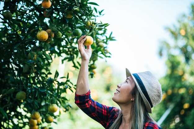 Qué significa soñar con recoger naranjas