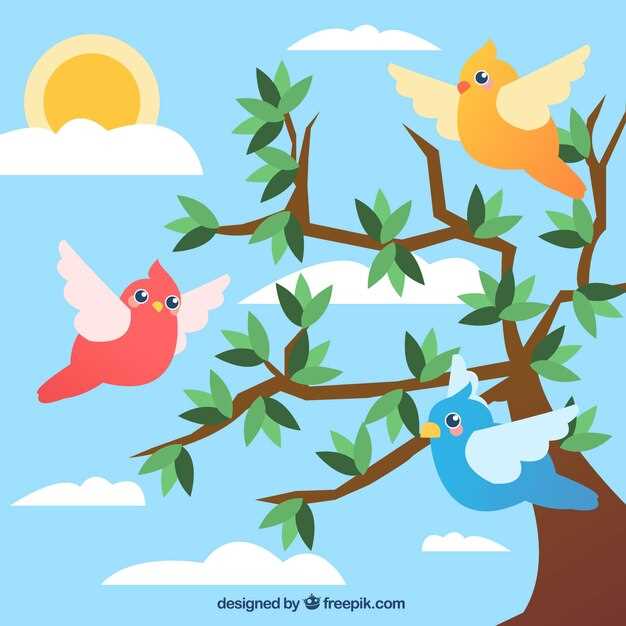 Bienestar y equilibrio