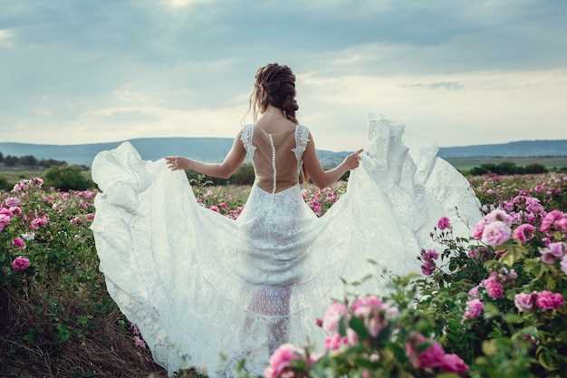 Transición y cambio