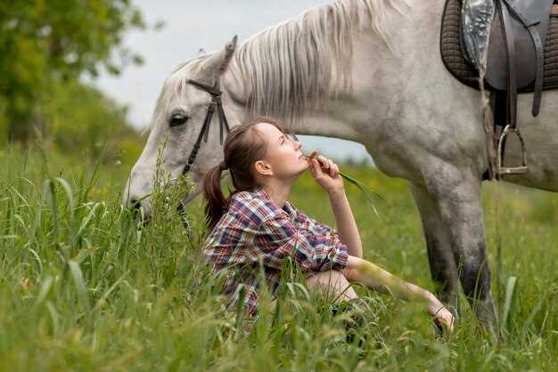 El caballo blanco y el equilibrio emocional