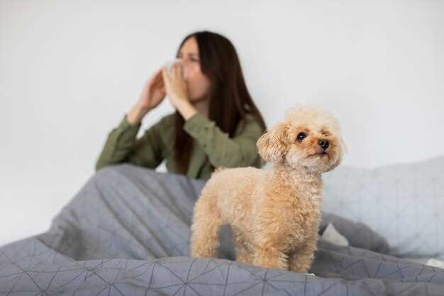 El perro como símbolo de comunicación