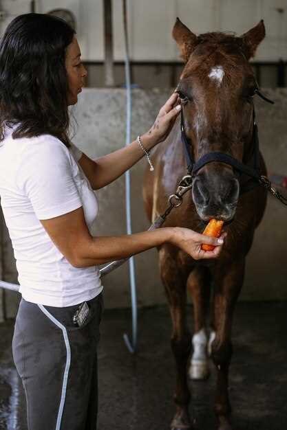 La interpretación psicológica de alimentar a un caballo con azúcar de la mano en sueños