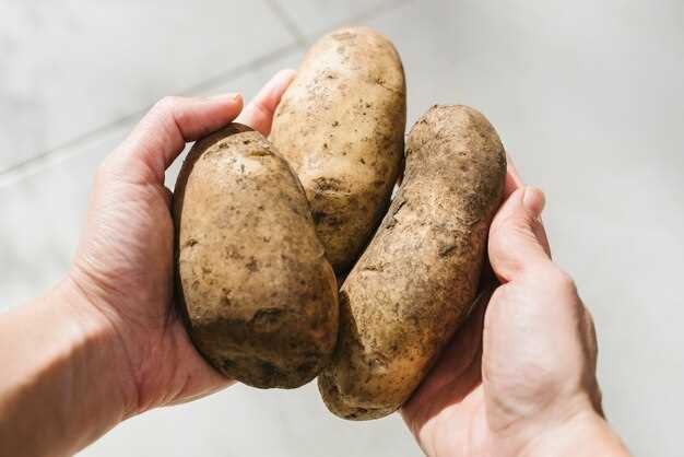 Simbolismo de cavar patatas en sueños