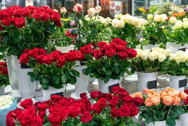 ¿Por qué aparecen flores rojas en los sueños?