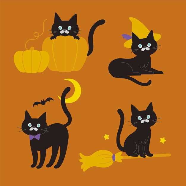 Consejos para interpretar los sueños con gatos negros y ojos amarillos