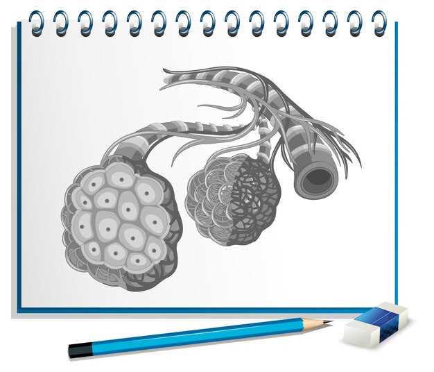 Los sueños con huevo embrionario y la fertilidad