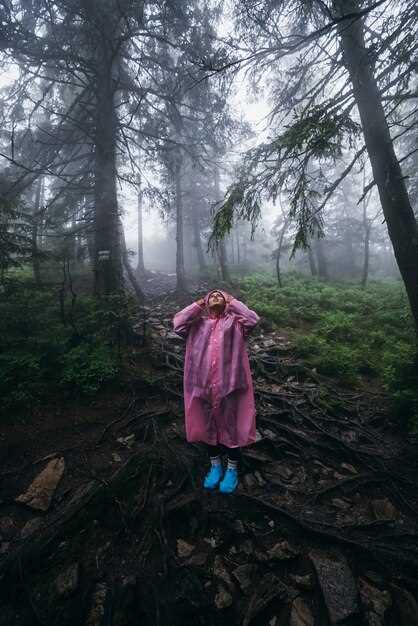 ¿Qué significa soñar con un bosque oscuro?