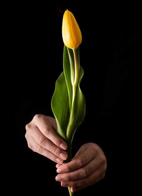 Representación de la feminidad y la fertilidad