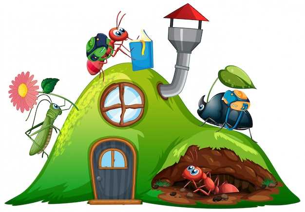 Las hormigas rojas y su relación con la productividad y eficiencia