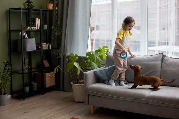 El perro como símbolo de compañía y protección