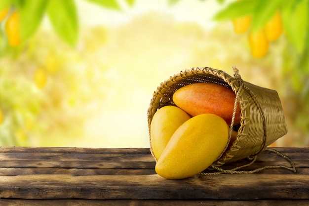 Relación con la naturaleza