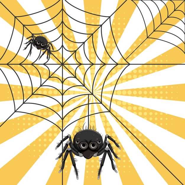 La araña negra como símbolo de energía femenina