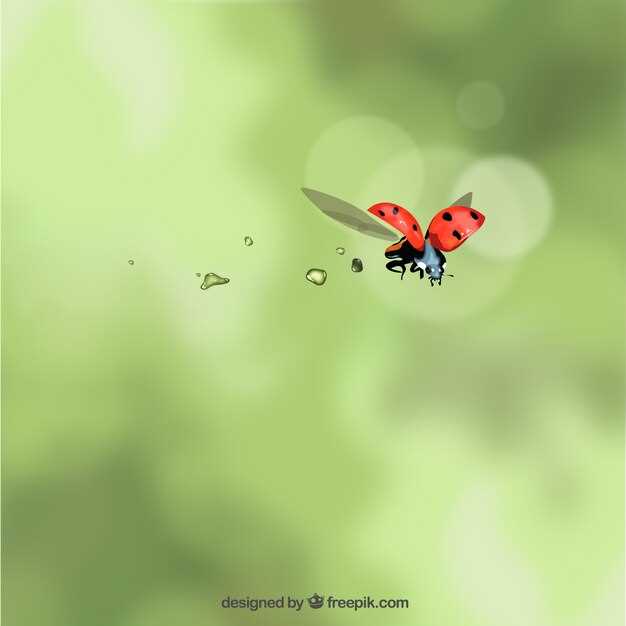 Posibles interpretaciones adicionales