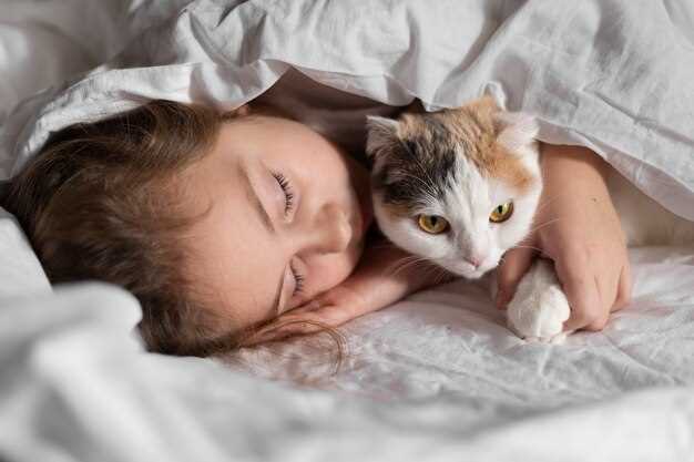 ¿Qué Significa Soñar con el Nacimiento de Gatos?