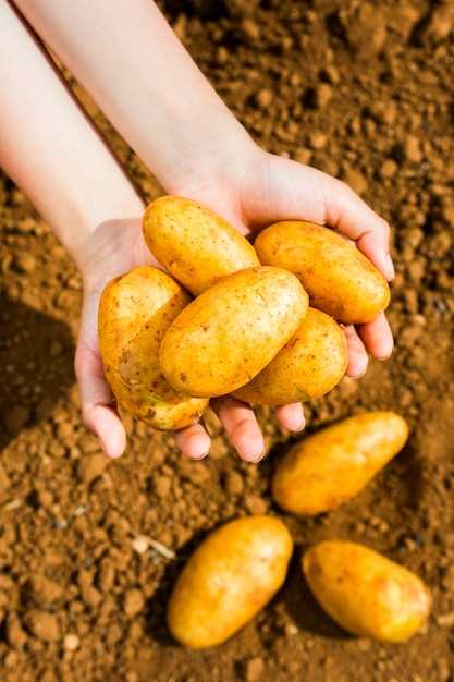 Interpretación en el campo laboral y financiero