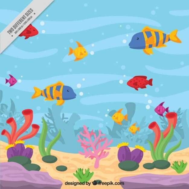 Importancia de los peces en diversas culturas