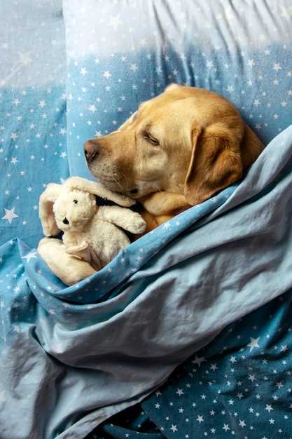 Predicción de cambios