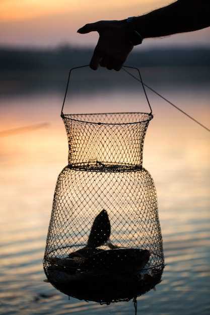 Pesca a mosca con las manos en sueños: qué significa, interpretación y simbolismo