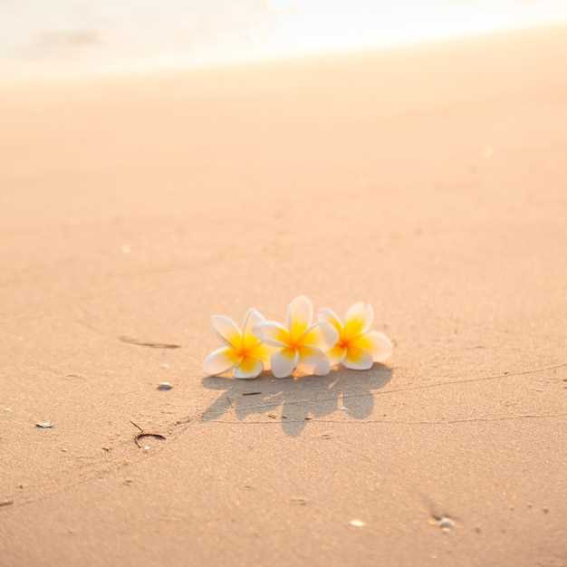 Advertencias y desafíos