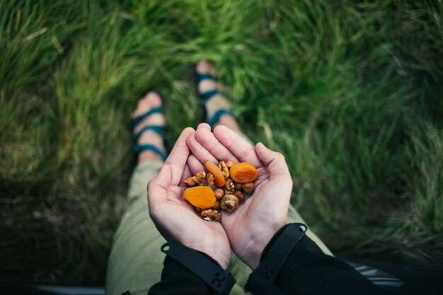 Las nueces como símbolo de conocimiento