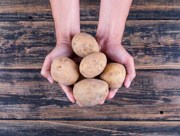 La recogida de patatas y sus conexiones con la vida real