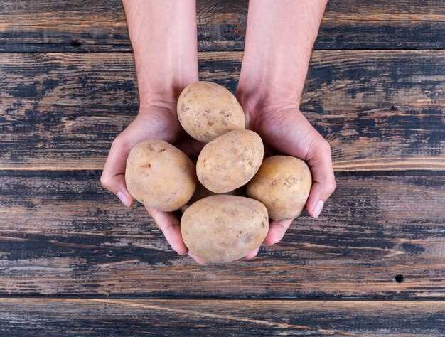 La recogida de patatas y sus conexiones con la vida real