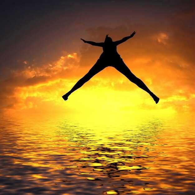  Libertad y liberación de cargas 