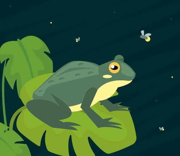 Interpretaciones individuales