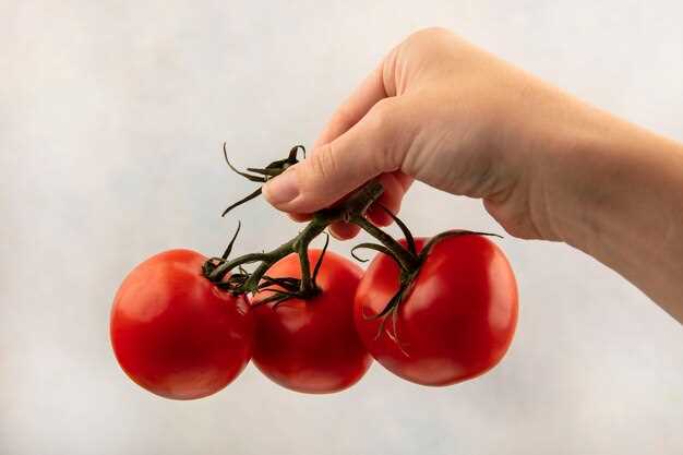 Interpretación y simbolismo de los sueños con tomates podridos