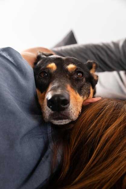 El cachorro adulto como símbolo de cambios