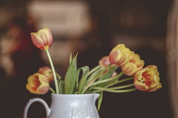 Tulipanes blancos