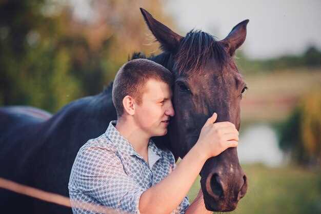 La interpretación de acariciar la cabeza de un caballo en sueños