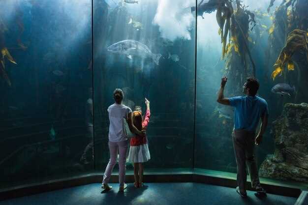 Acuario gigante en sueños